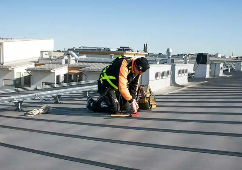 Trall och pergola i utemiljö